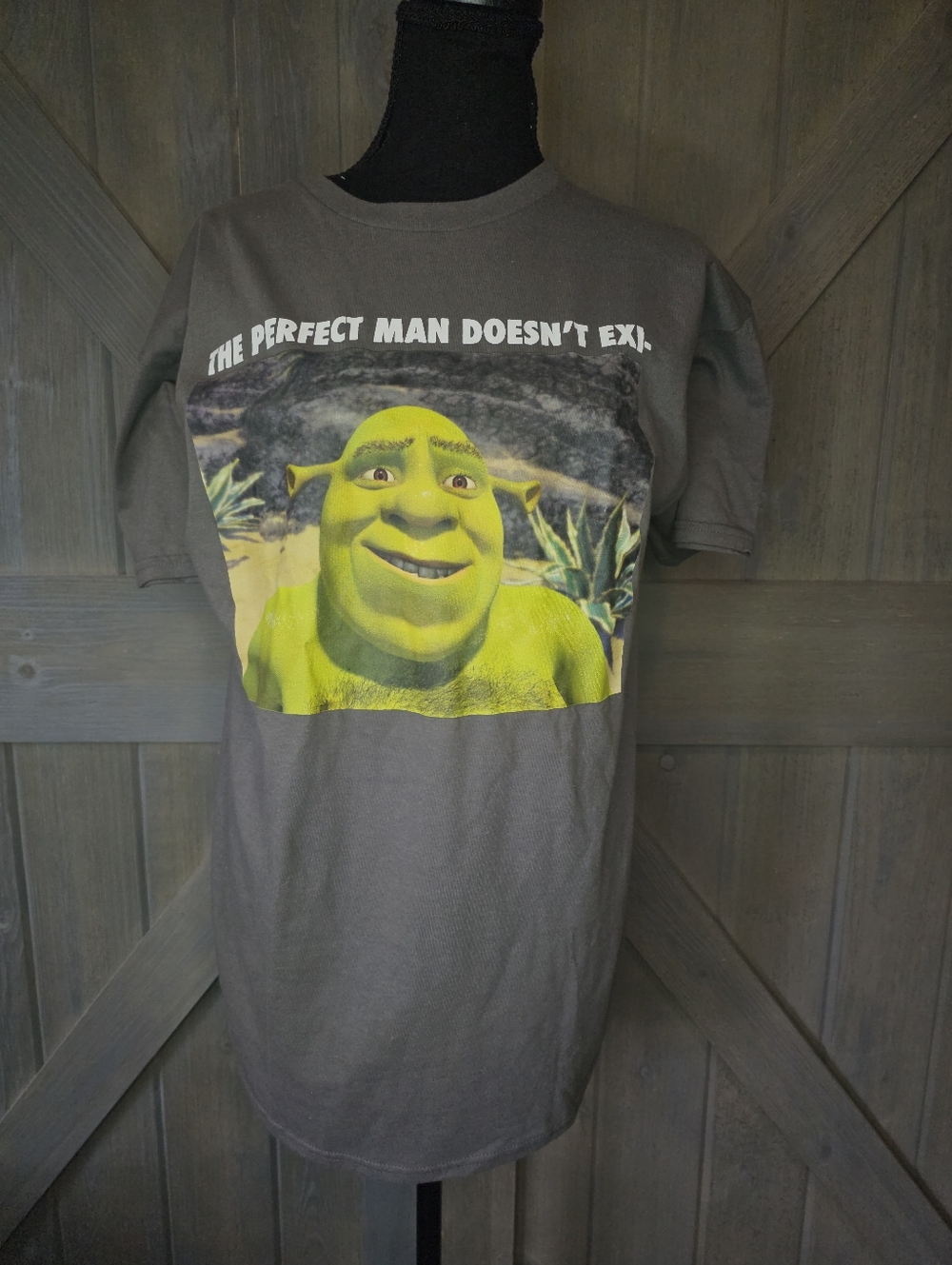 Nwt Spencer's Shrek "The Perfect Man Doesn't Exi-" Graphic T-shirt sz Large